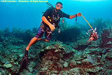 spearing a lionfish